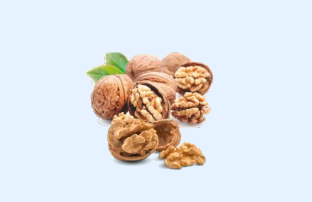 NOCI