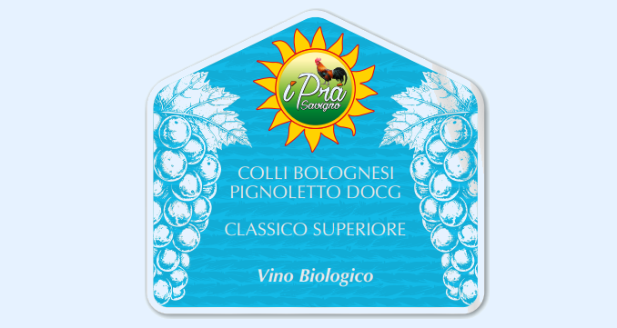 COLLI BOLOGNESI PIGNOLETTO DOCG CLASSICO SUPERIORE — Vino Biologico