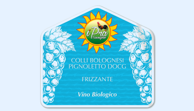 COLLI BOLOGNESI PIGNOLETTO DOCG FRIZZANTE — Vino Biologico